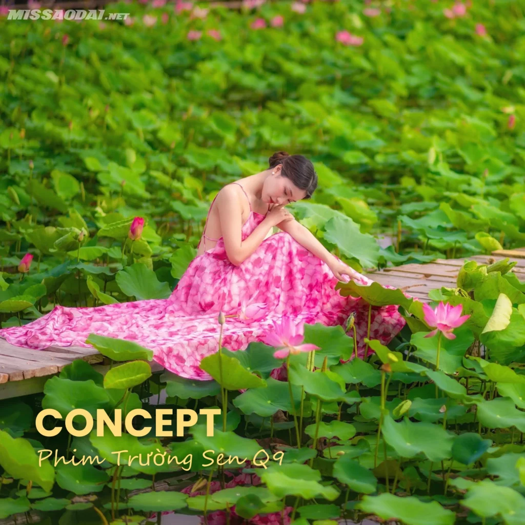 concept phim trường sen q9